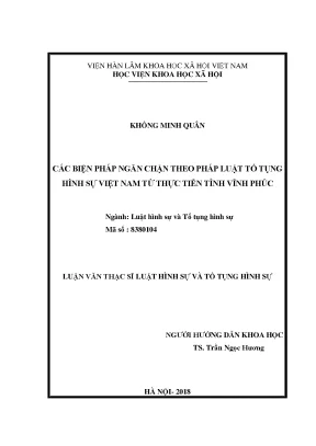 Biện Pháp Ngăn Chặn Trong Tố Tụng Hình Sự Việt Nam: Thực