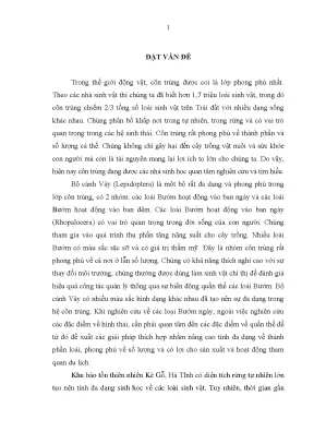 Nghiên Cứu Thành Phần Các Loài Bướm Ngày Tại Khu Bảo Tồn