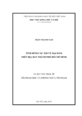 Tình Hình Tội Phạm Về Mại Dâm Tại Thành Phố Hồ Chí Minh: