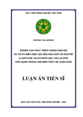 Nghiên Cứu Phát Triển Chủng Nấm Sợi và Tối Ưu Điều Kiện