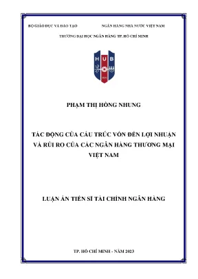 Tác Động Của Cấu Trúc Vốn Đến Lợi Nhuận Và Rủi Ro Của
