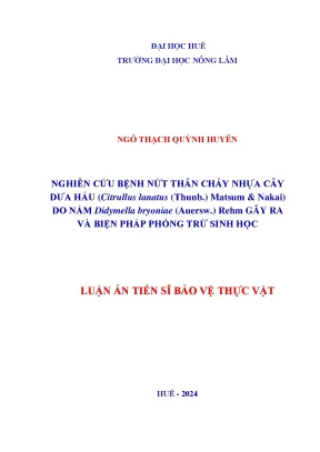 Nghiên Cứu Bệnh Nứt Thân Chảy Nhựa Cây Dưa Hấu Do Nấm