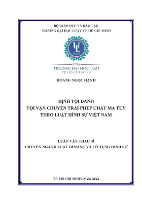 Vận Chuyển Trái Phép Chất Ma Túy: Định Tội Danh Theo