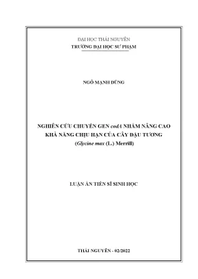 Nghiên Cứu Chuyển Gen codA Nâng Cao Khả Năng Chịu Hạn