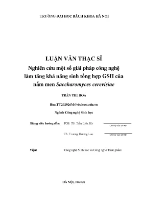 Nghiên cứu giải pháp công nghệ tăng cường tổng hợp GSH