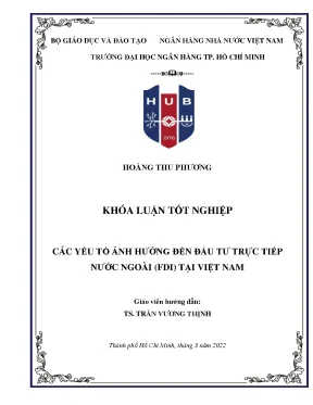 Các Yếu Tố Ảnh Hưởng Đến Đầu Tư Trực Tiếp Nước Ngoài
