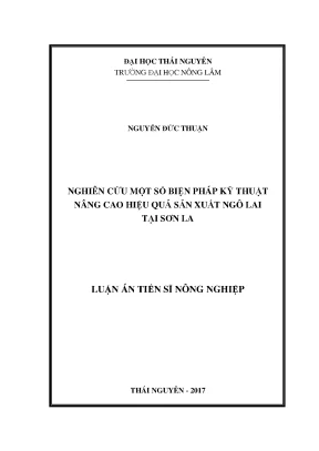 Biện Pháp Kỹ Thuật Nâng Cao Hiệu Quả Sản Xuất Ngô Lai