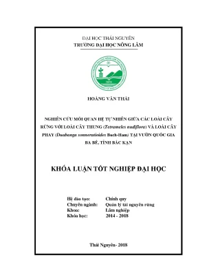 Nghiên Cứu Mối Quan Hệ Tự Nhiên Giữa Các Loài Cây Rừng