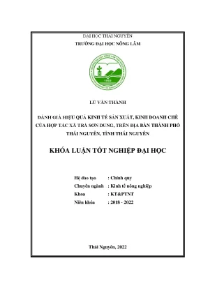 Đánh Giá Hiệu Quả Kinh Tế Sản Xuất Chè Tại Hợp Tác Xã