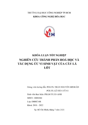 Nghiên Cứu Thành Phần Hóa Học và Tác Dụng Ức Vi Sinh Vật