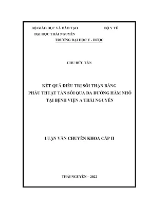 Kết Quả Điều Trị Sỏi Thận Bằng Phẫu Thuật Tán Sỏi Qua Da