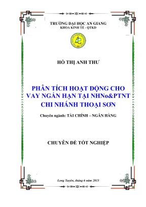 Phân Tích Hoạt Động Cho Vay Ngắn Hạn Tại NHNo&PTNT Chi