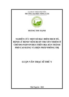 Nghiên Cứu Đặc Điểm Dịch Tễ Bệnh Viêm Ruột Truyền Nhiễm