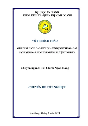 Giải Pháp Nâng Cao Hiệu Quả Tín Dụng Trung Dài Hạn Tại