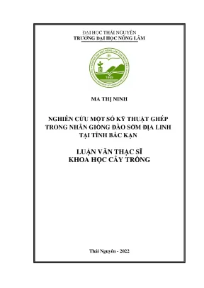 Kỹ Thuật Ghép Đào Sớm Địa Linh Tại Bắc Kạn: Nghiên Cứu