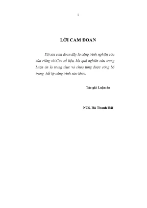 Nâng Cao Năng Lực Cạnh Tranh Khách Sạn Việt Nam: Nghiên