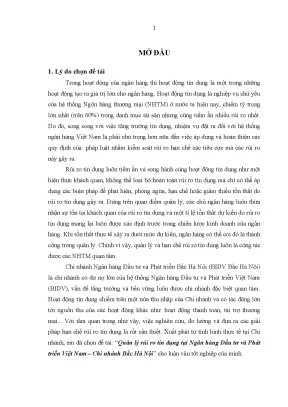 Quản lý rủi ro tín dụng hiệu quả tại BIDV Bắc Hà Nội