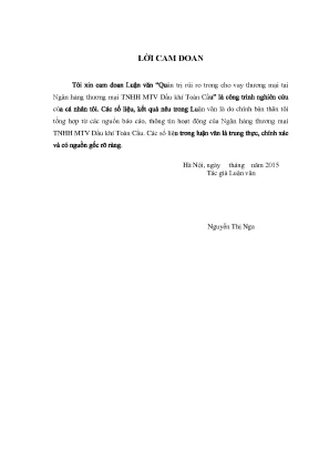 Quản Trị Rủi Ro Trong Cho Vay Thương Mại Tại Ngân Hàng