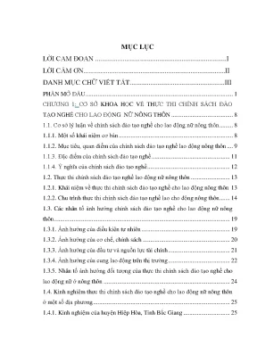 Chính Sách Đào Tạo Nghề Cho Lao Động Nữ Nông Thôn: Thực