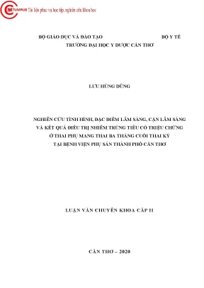 Nghiên Cứu Nhiễm Trùng Tiểu Ở Thai Phụ Trong Ba Tháng