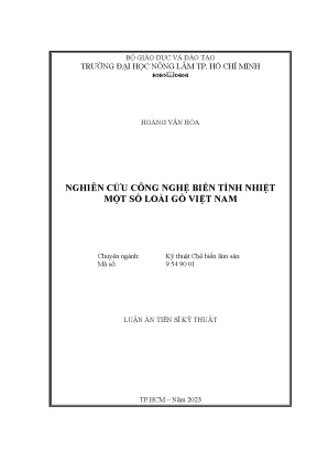 Nghiên Cứu Công Nghệ Biến Tính Nhiệt Gỗ Việt Nam: Tác 