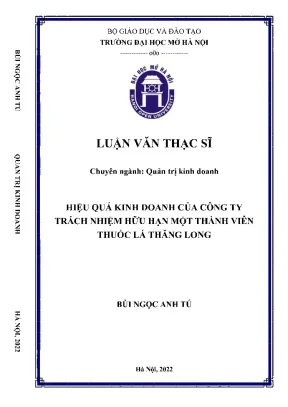 Nâng Cao Hiệu Quả Kinh Doanh Tại Công Ty TNHH MTV Thuốc