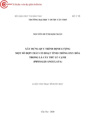 Nghiên Cứu Quy Trình Định Lượng Hợp Chất Chống Oxy Hóa 