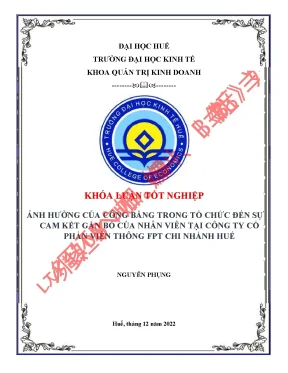 Nghiên Cứu Ảnh Hưởng Của Công Bằng Trong Tổ Chức Đến Sự