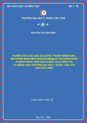 Nghiên Cứu Mối Tương Quan Giữa Nồng Độ HBsAg và Tải