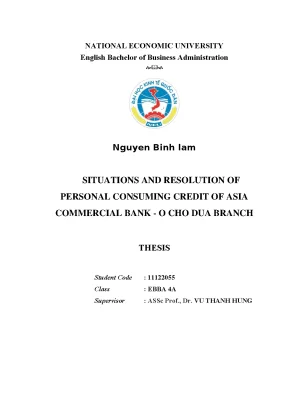 Phân Tích Tình Hình và Giải Pháp Tín Dụng Tiêu Dùng Cá