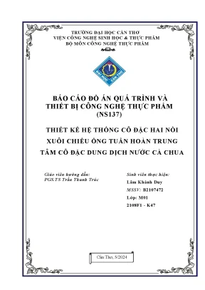 Thiết Kế Hệ Thống Cô Đặc Nước Cà Chua: Đồ Án Kỹ Thuật