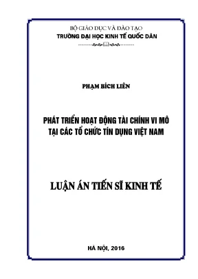 Phát Triển Hoạt Động Tài Chính Vi Mô Tại Các Tổ Chức Tín
