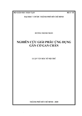 Nghiên Cứu Giải Phẫu Gân Cơ Gan Chân: Ứng Dụng Trong Y Học