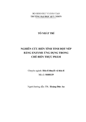 Nghiên Cứu Biến Tính Tinh Bột Nếp Bằng Enzyme Trong Chế 