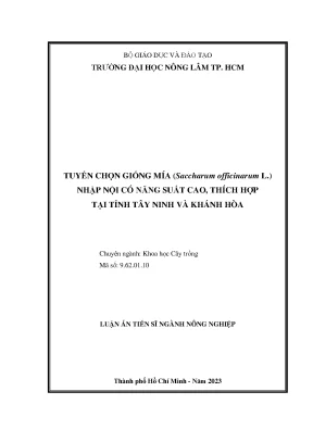 Tuyển Chọn Giống Mía Năng Suất Cao Tại Tây Ninh Và Khánh Hòa