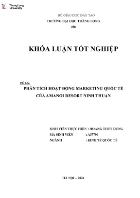 Phân Tích Hoạt Động Marketing Quốc Tế Của Amanoi Resort