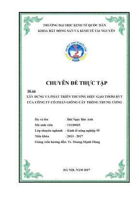 Phát Triển Thương Hiệu Gạo Thơm RVT: Chiến Lược và Giải Pháp