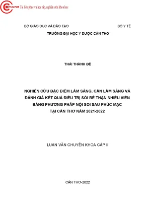 Nghiên cứu điều trị sỏi bể thận bằng phương pháp nội soi 
