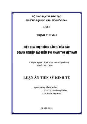 Nâng cao hiệu quả đầu tư của doanh nghiệp bảo hiểm phi
