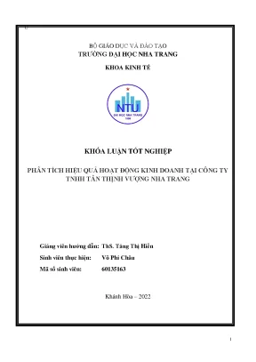 Phân Tích Hiệu Quả Kinh Doanh Tại Công Ty TNHH Tân Thịnh