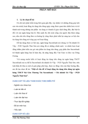 Phân Tích Hoạt Động Tín Dụng Tiêu Dùng Tại Sacombank Chi