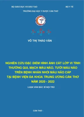 Nghiên Cứu Hình Ảnh Cắt Lớp Vi Tính Về Nhồi Máu Não Tại 