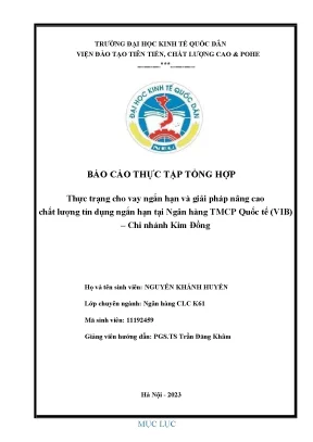 Giải Pháp Nâng Cao Chất Lượng Tín Dụng Ngắn Hạn Tại Ngân