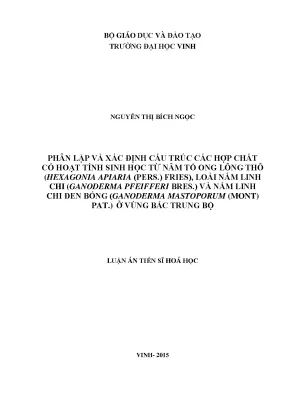 Nghiên Cứu Cấu Trúc Hợp Chất Sinh Học Từ Nấm Tổ Ong Lông