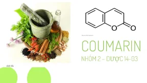 Tìm Hiểu Về Coumarin: Đặc Điểm, Phân Loại và Tác Dụng