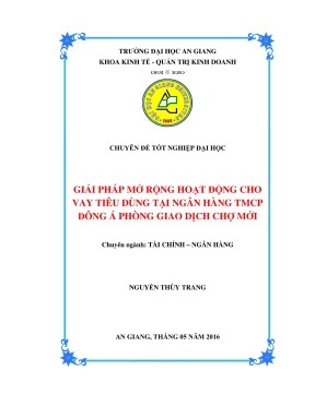 Giải Pháp Mở Rộng Hoạt Động Cho Vay Tiêu Dùng Tại Ngân