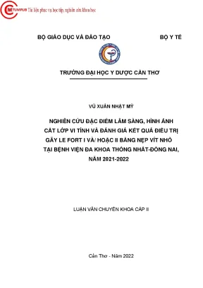 Nghiên Cứu Đặc Điểm Lâm Sàng và Kết Quả Điều Trị Gãy Le