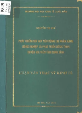 Phát Triển Cho Vay Tiêu Dùng Tại Ngân Hàng Nông Nghiệp