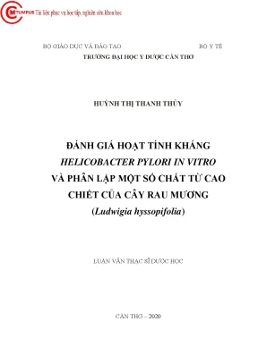 Đánh Giá Hoạt Tính Kháng Helicobacter Pylori Từ Cây Rau 