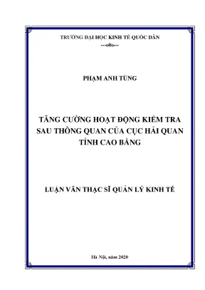 Tăng Cường Hoạt Động Kiểm Tra Sau Thông Quan Tại Cục Hải 